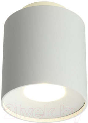 Потолочный светильник Omnilux Torino OML-100309-16 - фото