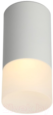 Потолочный светильник Omnilux Lucido OML-100609-01 - фото