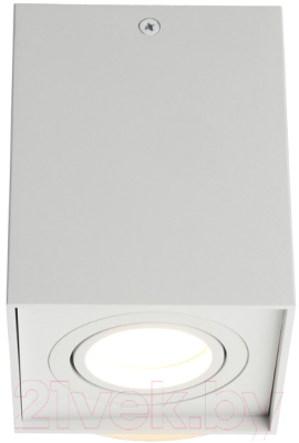 Потолочный светильник Omnilux Feletto OML-101109-01 - фото