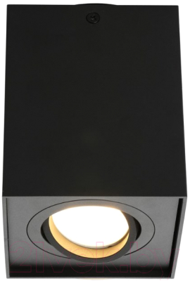 Потолочный светильник Omnilux Feletto OML-101119-01 - фото