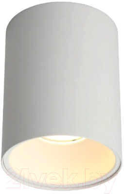 Потолочный светильник Omnilux Cariano OML-101209-01 - фото