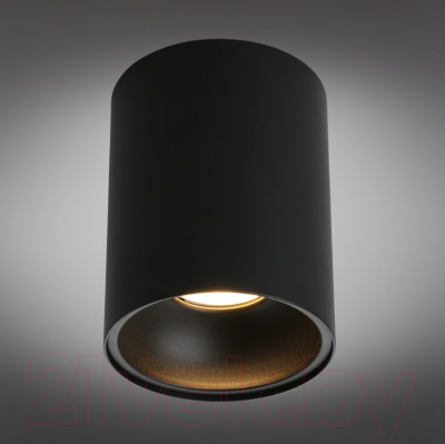 Потолочный светильник Omnilux Cariano OML-101219-01