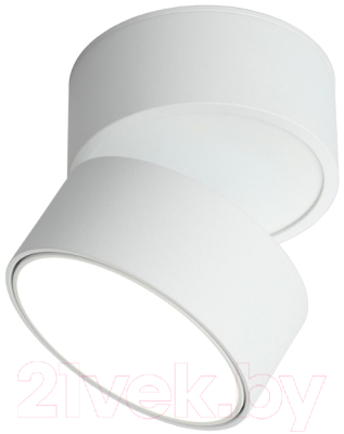 Потолочный светильник Omnilux Lenno OML-101309-12 - фото