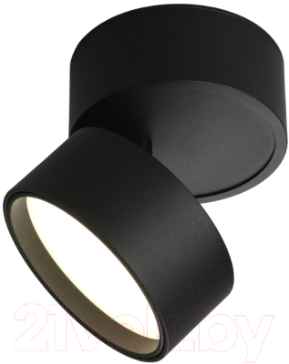 Потолочный светильник Omnilux Lenno OML-101319-12 - фото