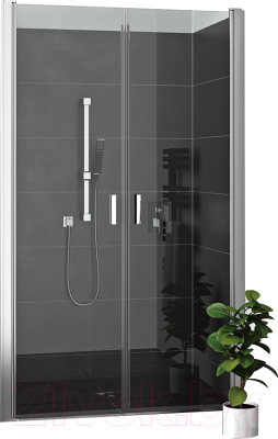 Душевая дверь Roltechnik Lega Lift Line LZCN2/80 (хром/прозрачное стекло) - фото