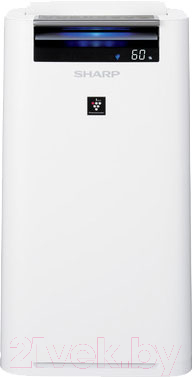 Очиститель воздуха Sharp KCG41RW - фото