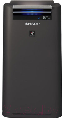 Очиститель воздуха Sharp KCG41RH - фото