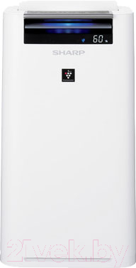 Очиститель воздуха Sharp KCG51RW - фото