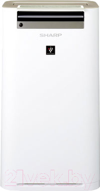 Очиститель воздуха Sharp KCG61RW - фото