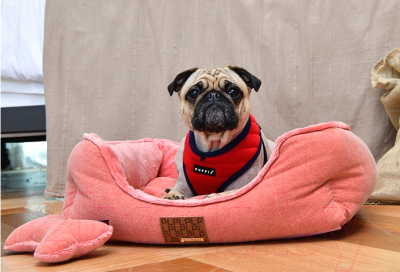 Лежанка для животных Puppia Presley / PARD-AU1587-OR-FR