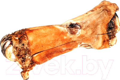 Лакомство для собак Бобик Снобик Нога / 010701 - фото