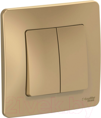 Выключатель Schneider Electric Blanca BLNVS010504 - фото