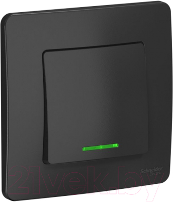 Выключатель Schneider Electric Blanca BLNVS010116 - фото