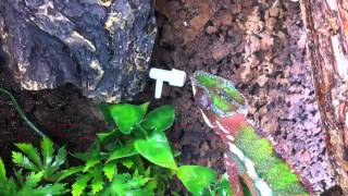 Поилка для рептилий Lucky Reptile Dripper DR-1 капельная