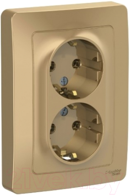 Розетка Schneider Electric Blanca BLNRS001024 - фото