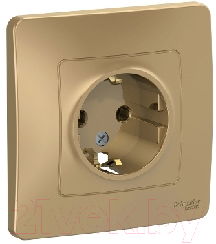 Розетка Schneider Electric Blanca BLNRS001014 - фото