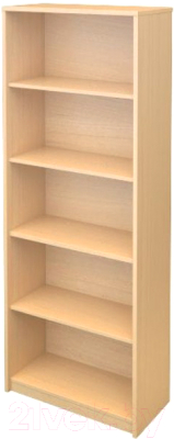 Стеллаж Программа Техно Арго А-306 - фото