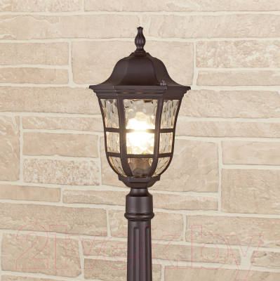 Фонарь уличный Elektrostandard Dorado F GL 1013F