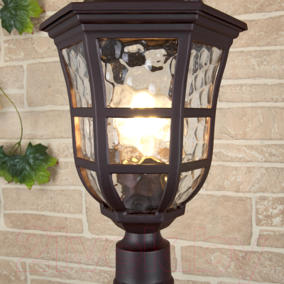 Фонарь уличный Elektrostandard Dorado F GL 1013F