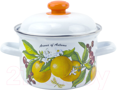 Кастрюля Лысьвенские эмали Фруктовая фантазия С-1615 АП2/4 - фото