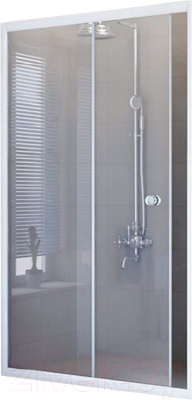 Душевая дверь Radomir 1200 / 1-63-1-0-0-1081 (матовый) - фото