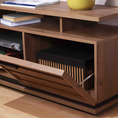 Тумба Глазов Nature 333