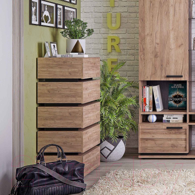 Комод Глазов Nature 6