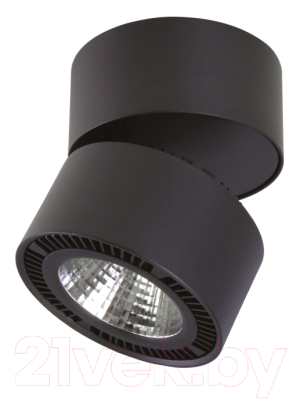 Точечный светильник Lightstar Forte Muro 213857 - фото