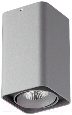 Точечный светильник Lightstar Monocco 52339 - фото