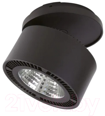 Точечный светильник Lightstar Forte Inca 214847 - фото