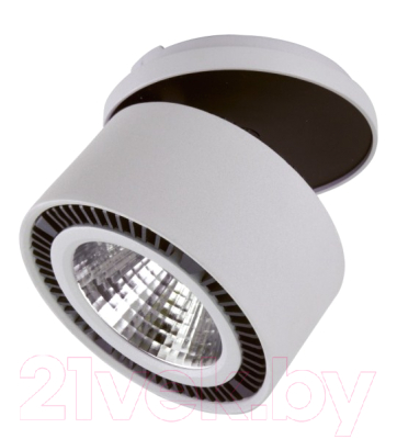 Точечный светильник Lightstar Forte Inca 213849 - фото