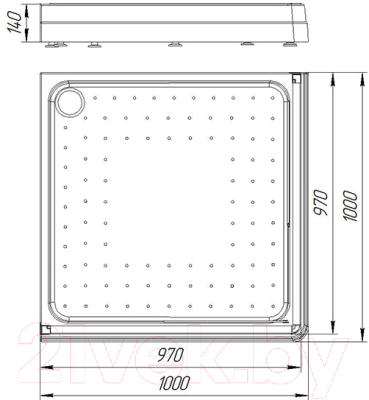 Душевой поддон Radomir 100 / 1-11-0-0-0-119