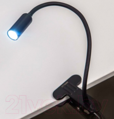 Настольная лампа Citilux Ньютон CL803061N