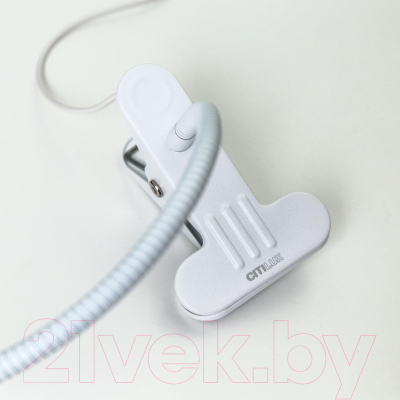 Настольная лампа Citilux Ньютон CL803070N