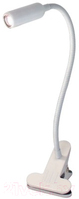 Настольная лампа Citilux Ньютон CL803060N - фото