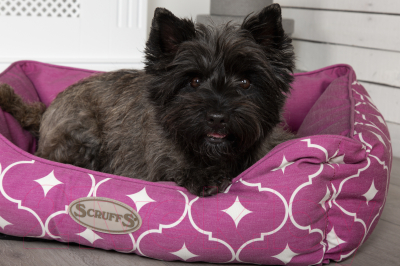 Лежанка для животных Scruffs Casablanca / 820532