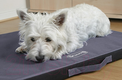 Матрас для животных Scruffs Expedition / 676499