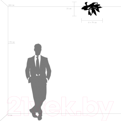 Потолочный светильник Lightstar Turbio 754169