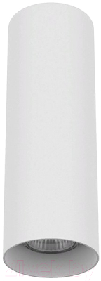 Точечный светильник Lightstar Rullo 216496 - фото