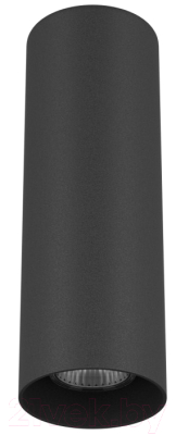 Точечный светильник Lightstar Rullo 216497 - фото