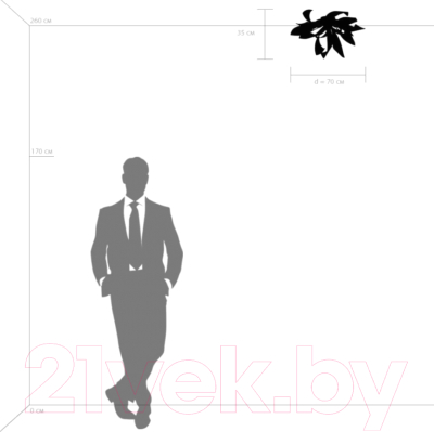 Потолочный светильник Lightstar Turbio 754166