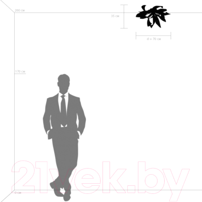 Люстра Lightstar Turbio 754167