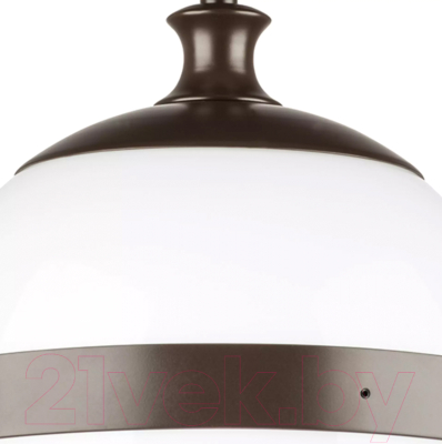 Потолочный светильник Lightstar Globo 813117