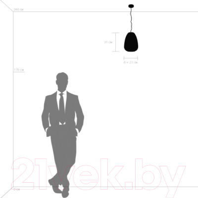 Потолочный светильник Lightstar Arnia 805012