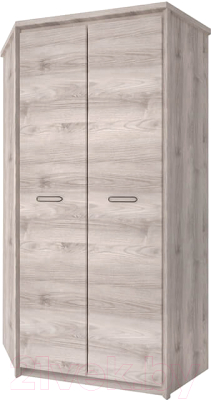 Шкаф Anrex Jazz 2D - фото