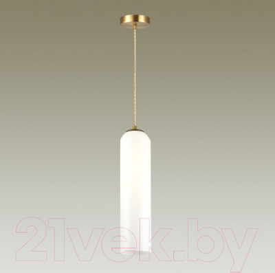 Потолочный светильник Odeon Light Vosti 4642/1