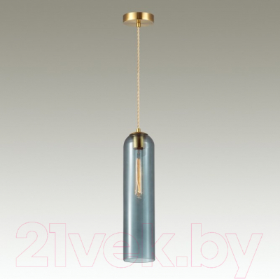 Потолочный светильник Odeon Light Vosti 4641/1