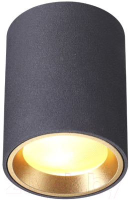 Точечный светильник Odeon Light Aquana 4205/1C - фото