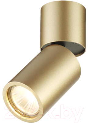 Точечный светильник Odeon Light Duetta 3895/1C - фото