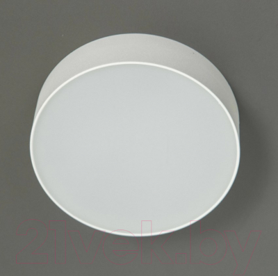 Потолочный светильник Citilux Тао CL712120N